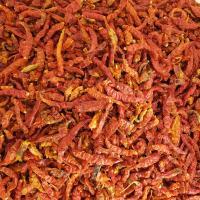 Dryed Red Chili Pepper (Sombo)