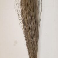 African Broom Long